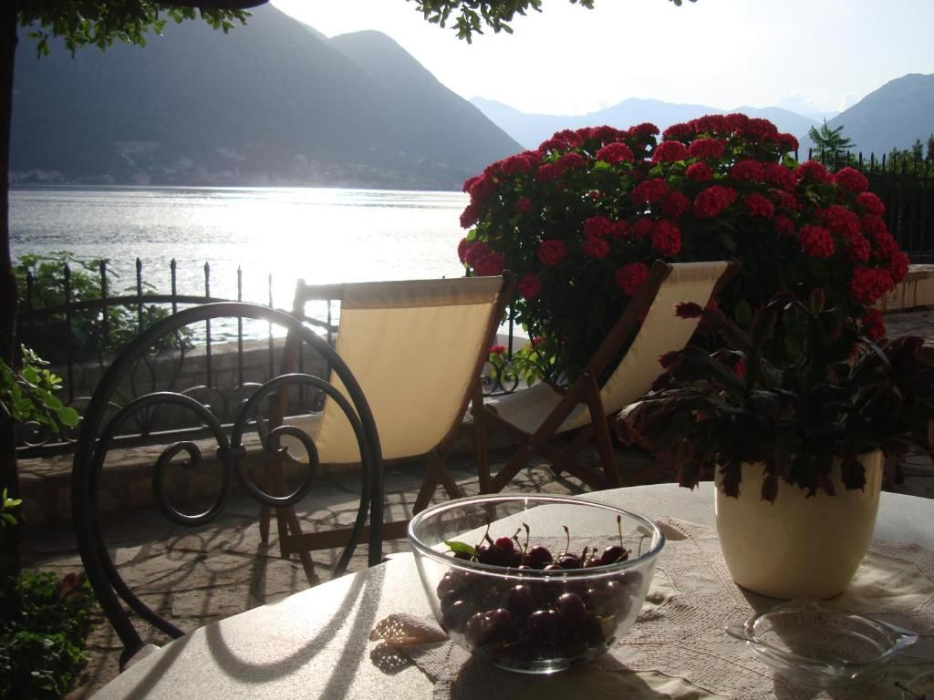 Апартаменты Villa Perla Del Mare Котор