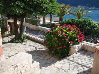 Апартаменты Villa Perla Del Mare Котор-2