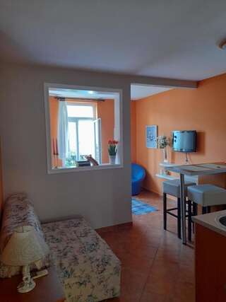 Апартаменты Villa Perla Del Mare Котор Номер-студио с патио и видом на море-40